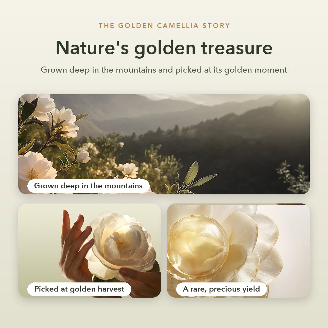 The Golden Camellia story